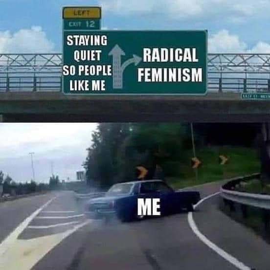 Preferred names for streamlined feminist sections on MN.