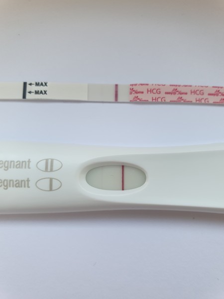 Support for Women who are TTC or Pregnant Following a Termination for Abnormalities- Thread 8