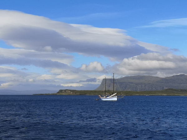 Week 9 - very much hoping this is our last fortnight!