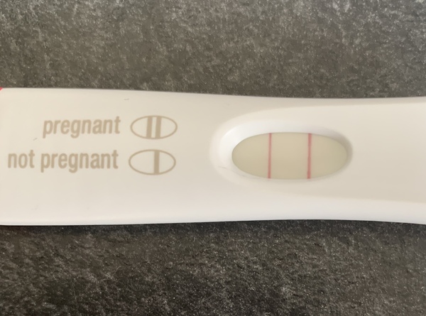 .  🦕 Catching up - ttc after miscarriage part 6 🦕