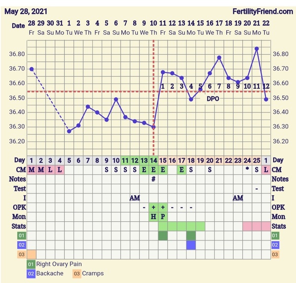 9DPO Symptom Spotting