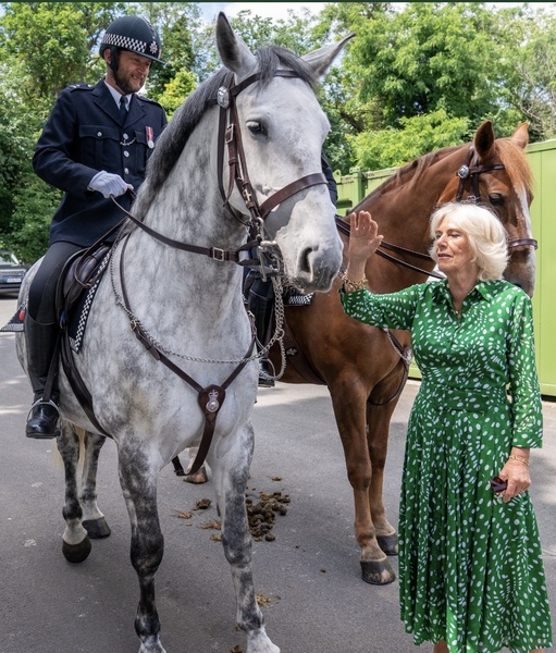 Royal Style - has Kate ditched the skinnies?