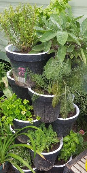 Where do you buy your plant pots?