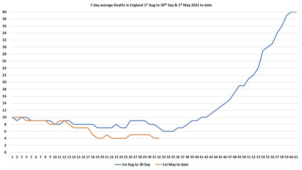 Data, Stat, Daily Numbers started 26th May 2021