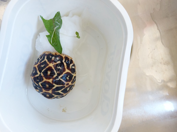 ADs shelter in The Sleeping Swans and have a group hug