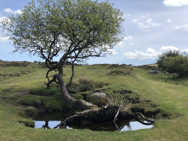 Nature appreciation thread