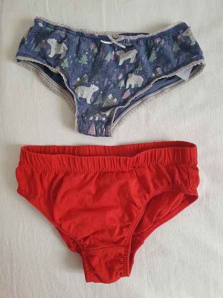 Modesty shorts recommended for 4 year olds.....