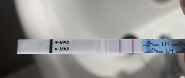 Positive OPK?
