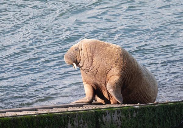 Nature appreciation thread