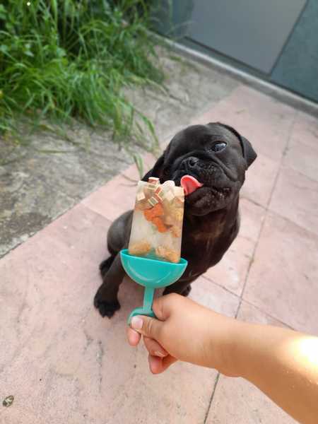 Tell me your home made dog treat recipes!