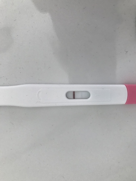 Evap line of bfp?