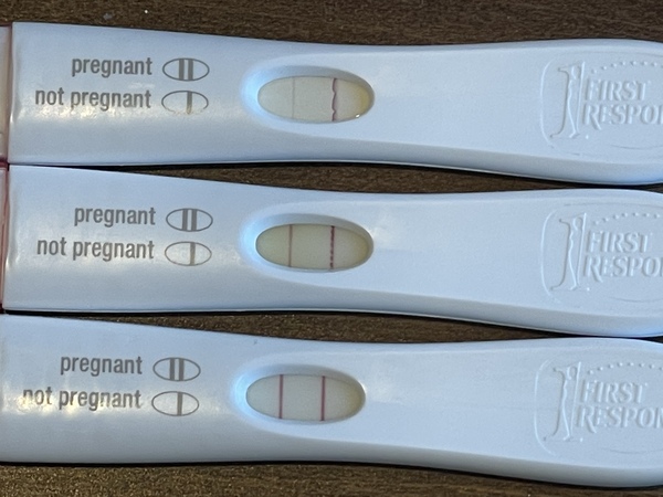 Due February 2022