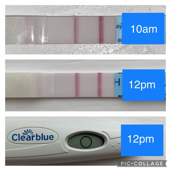 Clomid journey thread 2!