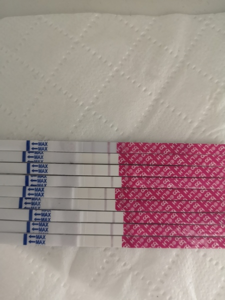 Trying for baby number 3