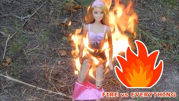Fucking barbecues