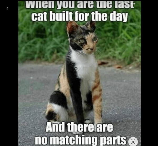 Love this...