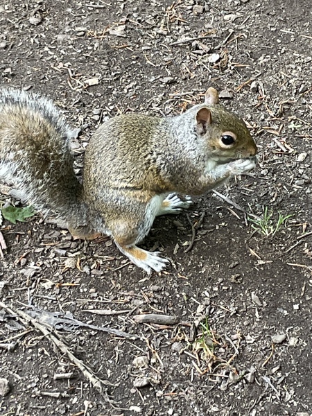 To see how quickly we can fill up this thread?