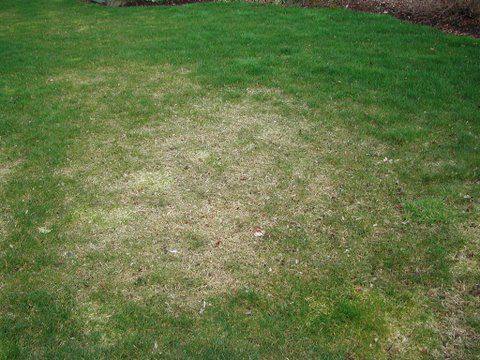 Still Blue, Still Stocking: The Bluestocking remains open in 2021