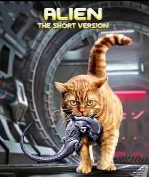 Cats killing all the baby birds