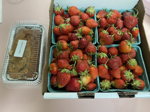 Come and tell me your dull and unexciting news 15: Calmly through the day