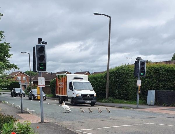 Swagger Inn 169 - Sod this for a game of --soldiers-- Musketeers - let's go somewhere hot and sunny.