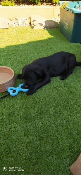 Frugaleers MayBee just MayBee