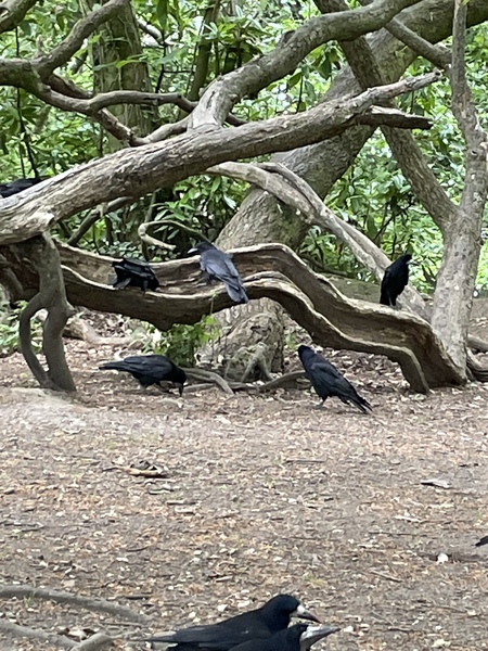 To see how quickly we can fill up this thread - the after party