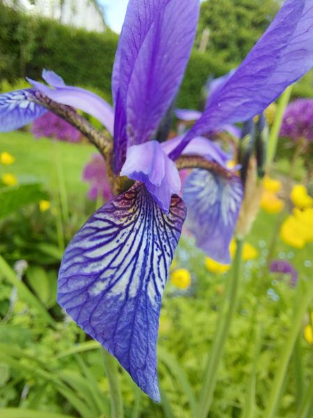 Week 8 - Leaving Lockdown Low Carb Bootcamp