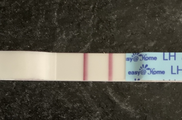 TTC after MC - May 2021 thread 19