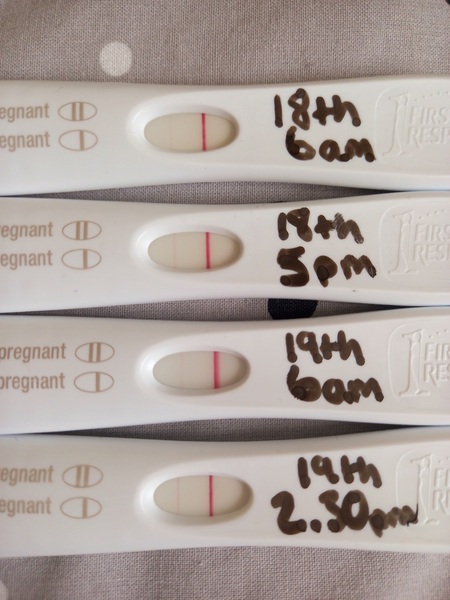 Is there any hope? Positives but bleeding.