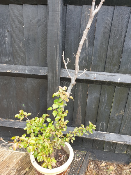 What is this do you think?