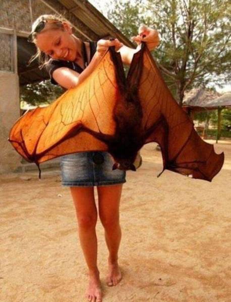 Animals that are...creepy...