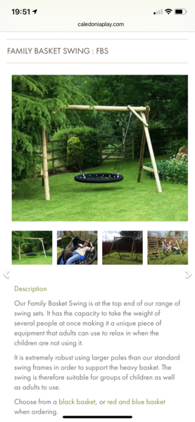 Thinking about buying a garden swing for a 13 year old...?