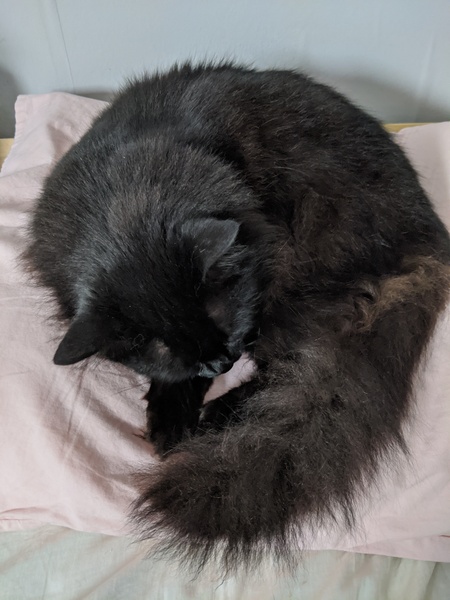 To see how quickly we can fill up this thread?