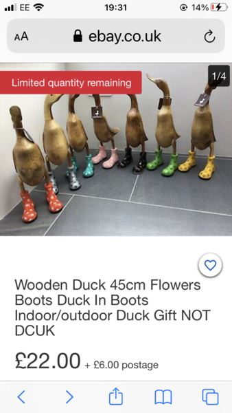 To ask you to help me find this wooden duck :(