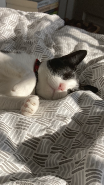 Good News 14: Keeping our spirits up, just a bit longer.