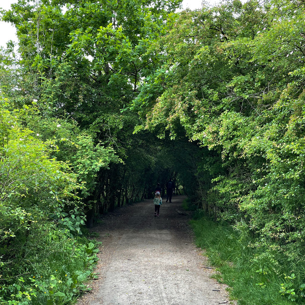 Nature appreciation thread