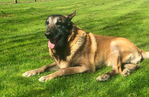 To see how quickly we can fill up this thread?