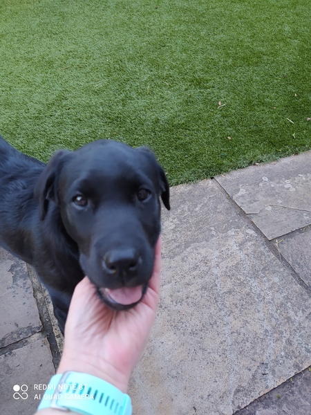 Frugaleers MayBee just MayBee