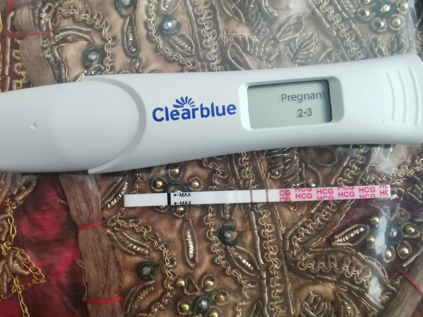 🧙Witch day did I ovulate?!🧙