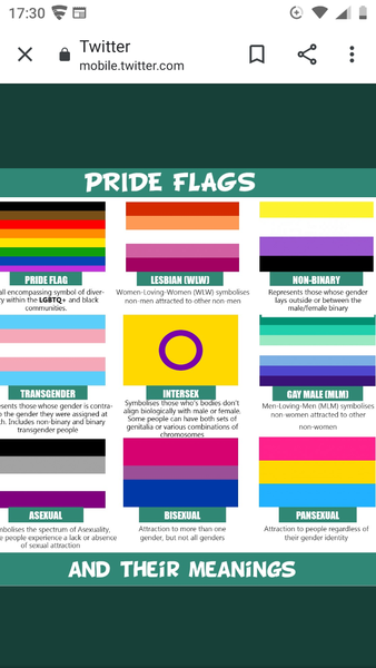 School describes lesbians as non-men attracted to non-men