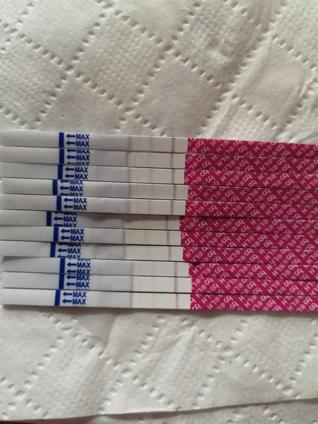 Trying for baby number 3
