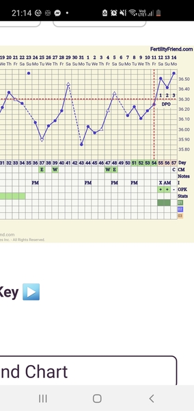 BBT or OPK - weird cycle and uncertain O