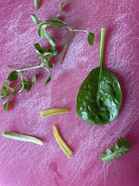 Do you assume all leaves in supermarket packets are edible?