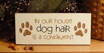 Tips on dog hairs !
