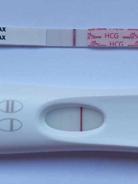 Support for Women who are TTC or Pregnant Following a Termination for Abnormalities- Thread 8
