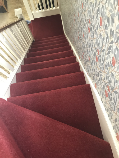 raspberry carpet: massive mistake? (Pic)