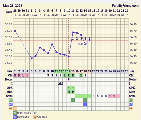 9DPO Symptom Spotting