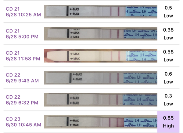 🧙Witch day did I ovulate?!🧙