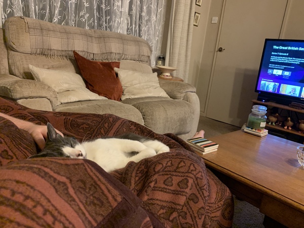 What is your Dcat up to today?